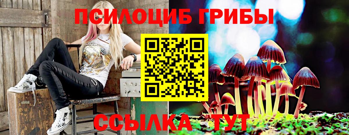 Псилоцибиновые грибы MAGIC MUSHROOMS Самара