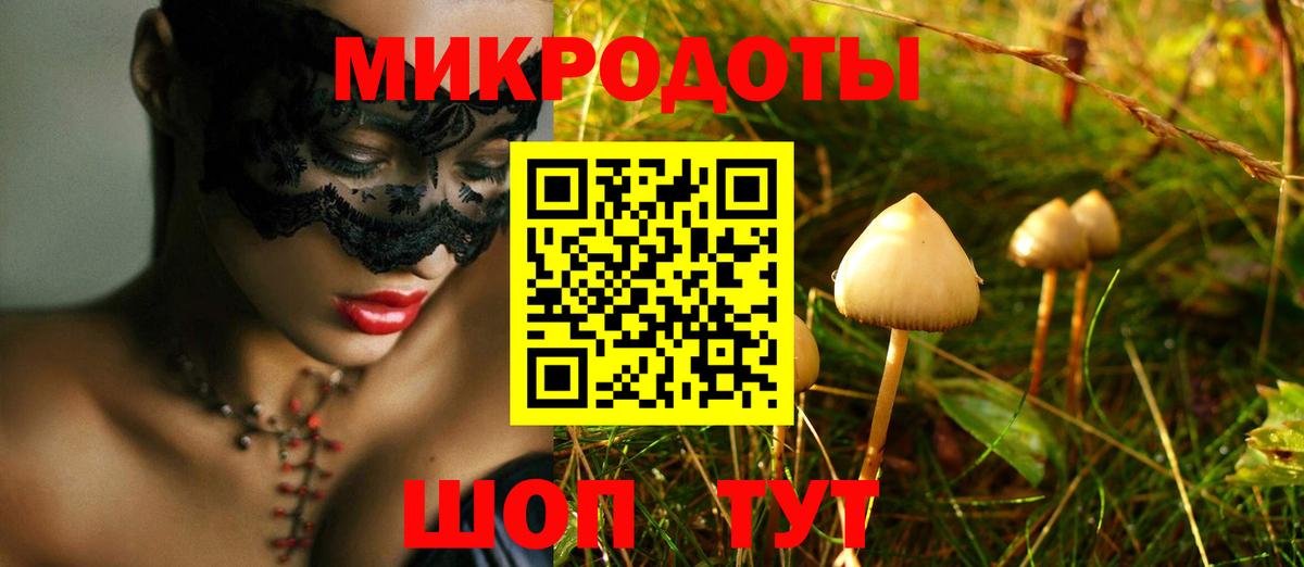 Самара  Псилоцибиновые грибы GOLDEN TEACHER  Вход с VPN  Псилоцибиновые грибы прущие грибы 